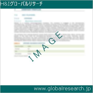 グローバルリサーチ調査レポートのイメージ